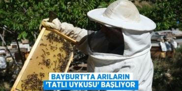 28461280062491727967tasarimli
