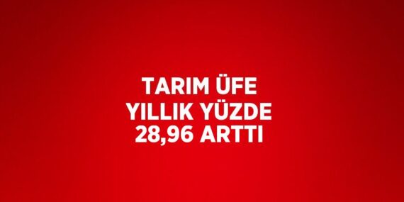 TARIM ÜFE YILLIK YÜZDE 28,96 ARTTI