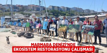 28468245732488129473tasarimli