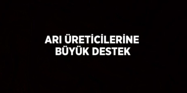 28470293512498031126tasarimli