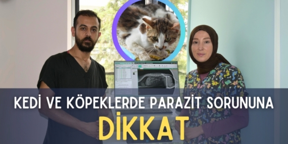 KEDİ VE KÖPEKLERDE  PARAZİT SORUNUNA DİKKAT