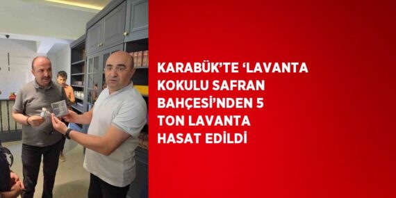 KARABÜK’TE ‘LAVANTA KOKULU SAFRAN BAHÇESİ’NDEN 5 TON LAVANTA HASAT EDİLDİ