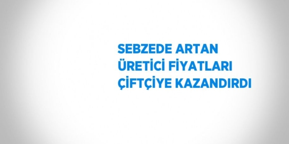 SEBZEDE ARTAN ÜRETİCİ FİYATLARI ÇİFTÇİYE KAZANDIRDI