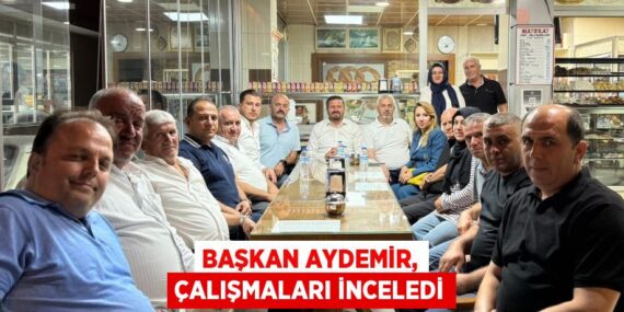 Başkan Aydemir, çalışmaları inceledi