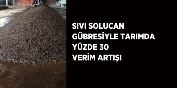 SIVI SOLUCAN GÜBRESİYLE TARIMDA YÜZDE 30 VERİM ARTIŞI