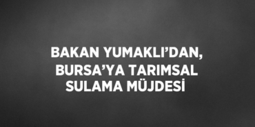 28507278792864826822tasarimli