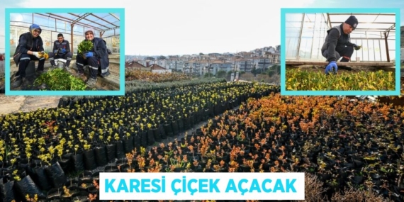 KARESİ ÇİÇEK AÇACAK