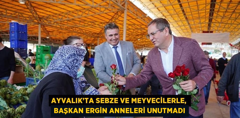 28522261452359831205tasarimli