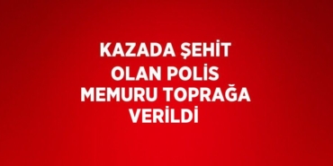 28525309763096128258tasarimli