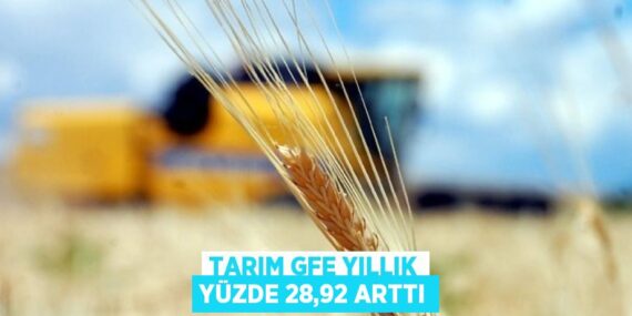TARIM GFE YILLIK YÜZDE 28,92 ARTTI