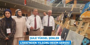 28529261882067022491tasarimli