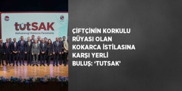 28531298373062431138