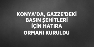 28546285342191322463tasarimli