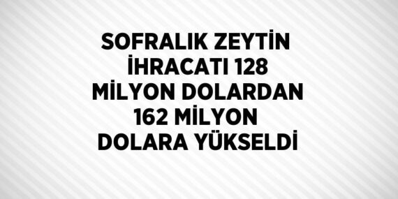 SOFRALIK ZEYTİN İHRACATI 128 MİLYON DOLARDAN 162 MİLYON DOLARA YÜKSELDİ