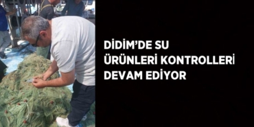 28564264732270730763