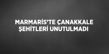 28566304872593924549tasarimli