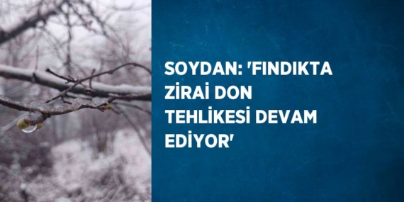 SOYDAN: ‘FINDIKTA ZİRAİ DON TEHLİKESİ DEVAM EDİYOR’
