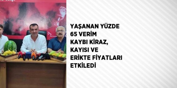 YAŞANAN YÜZDE 65 VERİM KAYBI KİRAZ, KAYISI VE ERİKTE FİYATLARI ETKİLEDİ