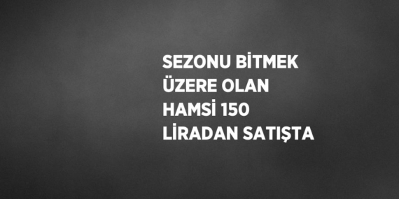 SEZONU BİTMEK ÜZERE OLAN HAMSİ 150 LİRADAN SATIŞTA