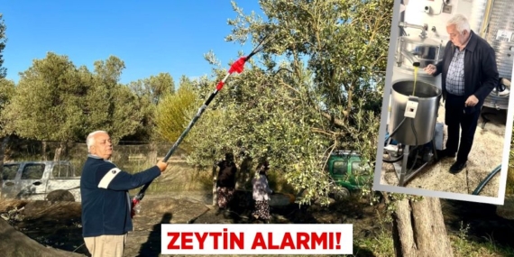 ZEYTİN ALARMI!