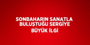 28588216232332931558tasarimli