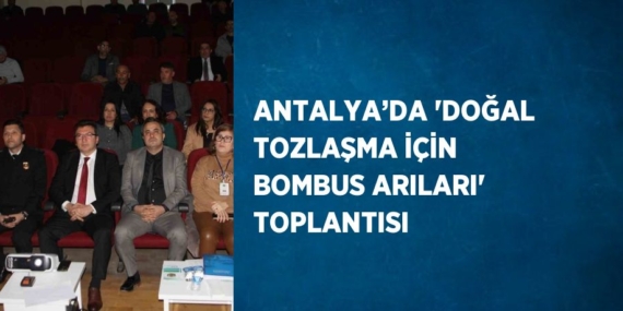 ANTALYA’DA ‘DOĞAL TOZLAŞMA İÇİN BOMBUS ARILARI’ TOPLANTISI