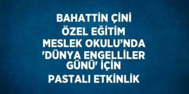28594298812004124376tasarimli