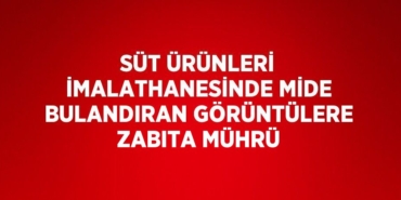 28596259492209230748tasarimli