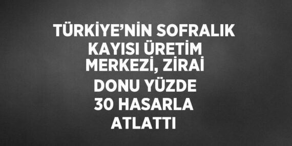 TÜRKİYE’NİN SOFRALIK KAYISI ÜRETİM MERKEZİ, ZİRAİ DONU YÜZDE 30 HASARLA ATLATTI
