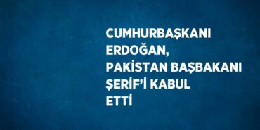 28607264142351431956