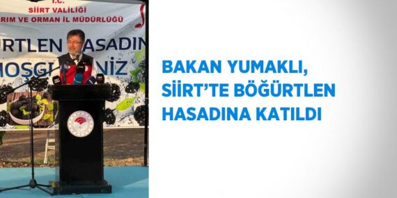 BAKAN YUMAKLI, SİİRT’TE BÖĞÜRTLEN HASADINA KATILDI