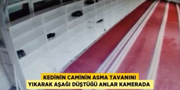 28616293642629827085tasarimli