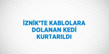 28617319122740325106tasarimli