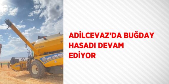 ADİLCEVAZ’DA BUĞDAY HASADI DEVAM EDİYOR