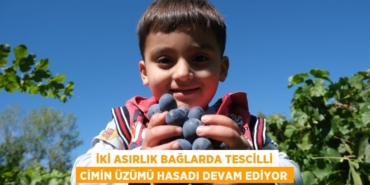 28634235852814320974tasarimli