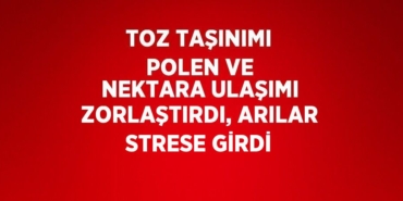 28646297552613424000tasarimli