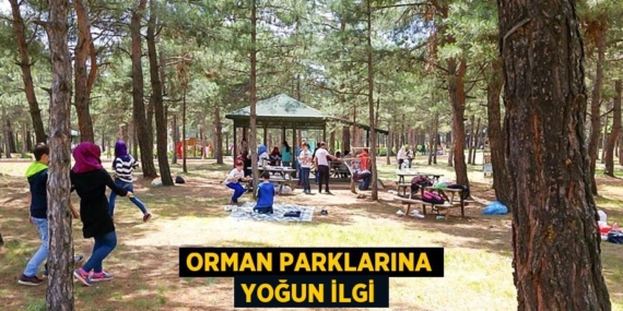 ORMAN PARKLARINA YOĞUN İLGİ