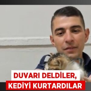 28649314352683031355tasarimli