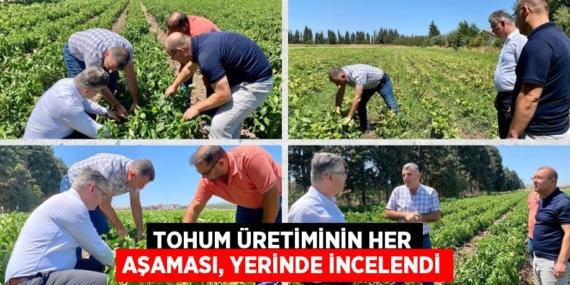 TOHUM ÜRETİMİNİN HER AŞAMASI, YERİNDE İNCELENDİ