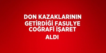 28661279332952030186tasarimli