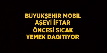 28687281562655427464tasarimli