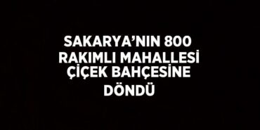 28693264852837430585tasarimli
