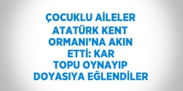 28701309472768220007tasarimli