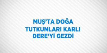 28703272303093626301tasarimli