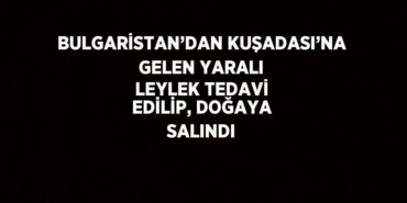 28712247662167825222tasarimli