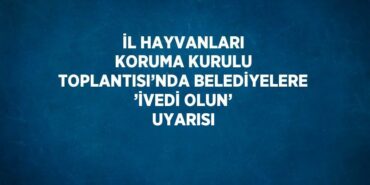 28733214762291330134tasarimli