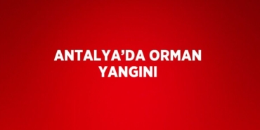 28735222932828626557tasarimli