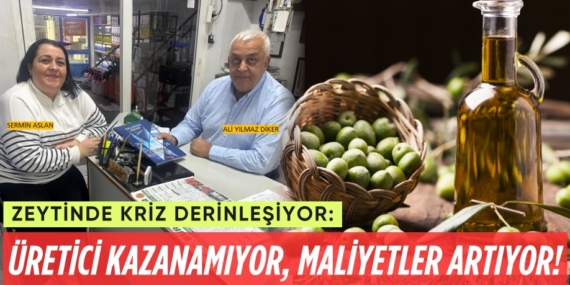 Zeytinde Kriz Derinleşiyor:  ÜRETİCİ KAZANAMIYOR,  MALİYETLER ARTIYOR!