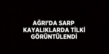 28741298752561027777tasarimli