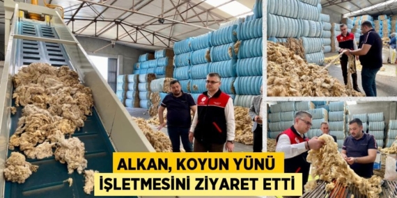 ALKAN, KOYUN YÜNÜ İŞLETMESİNİ ZİYARET ETTİ